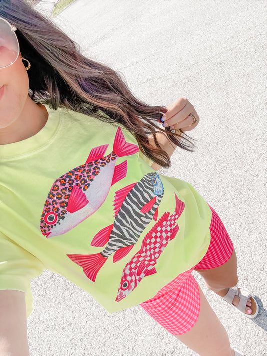 Groovy Fish CC Tee *PRE-ORDER*