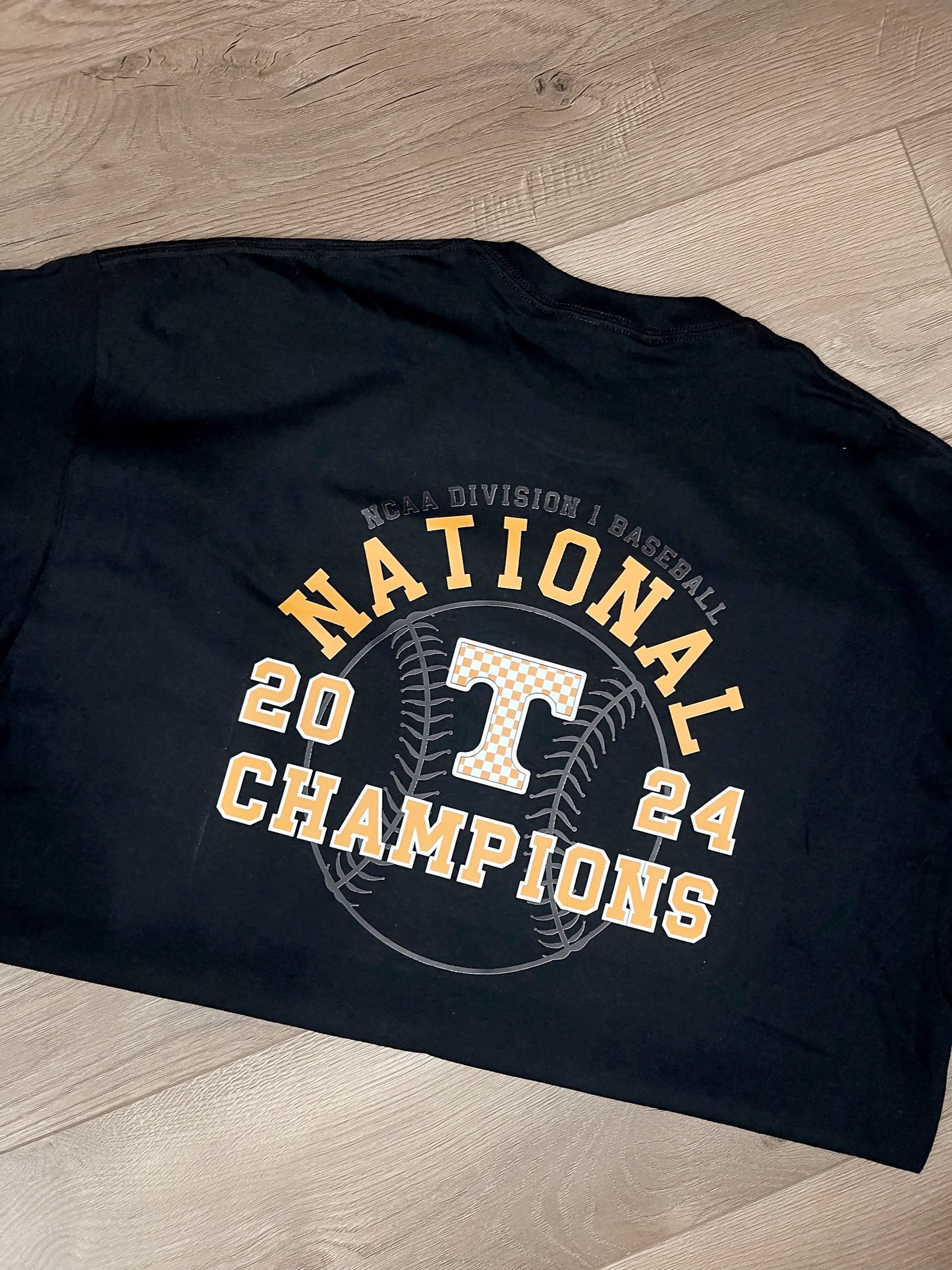 National Champions - TN Baseball