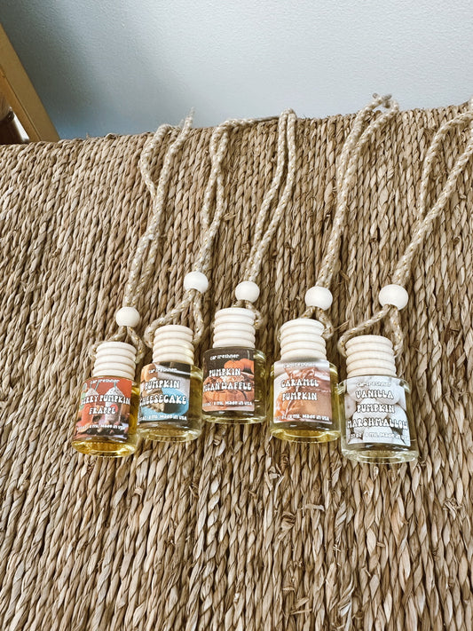 Fall Car Diffusers
