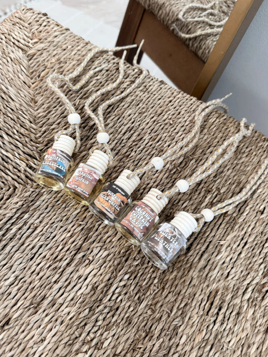 Fall Car Diffusers